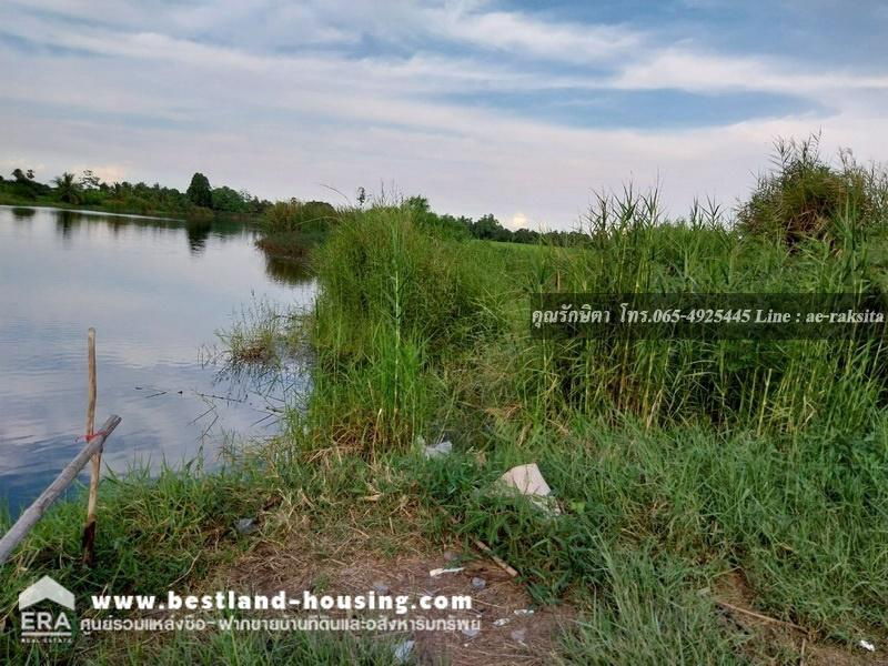 รูป ขายที่ดิน 8-2-1 ไร่ ต.ดอนฉิมพลี อ.บางน้ำเปรี้ยว จ.ฉะเชิงเทรา ใกล้หนองจอก ที่ดินเป็นน้ำ - รูปที่ 8/24