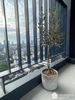 listing thumbnail image 4