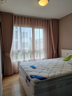 รูปภาพ 🥝🥝   (  ห้องว่าง )   ให้เช่า  คอนโด เด็น วิภาวดี    🥝🥝  ชั้น  3   ขนาด  29  ตร.ม. ตกแต่งครบ  วิวสวน  พร้อมเครื่องซักผ้า