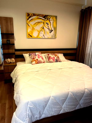 Condos for rent : New roomThe Seed Musee Sukhumvit 26