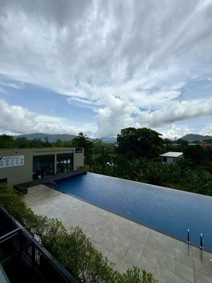 รูป Sugar Palm Suan Luang For Sell WR-03393 - รูปที่ 12/12