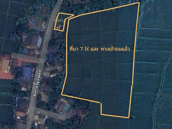 รูป ขายที่นาปลูกข้าว อ.ดอยสะเก็ด 7 ไร่ 108.9 ตรว. - รูปที่ 1/11