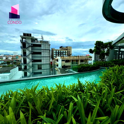 Condos for rent Robinson Hat Yai : South direction, swimming pool view, 3 meter high ceiling room