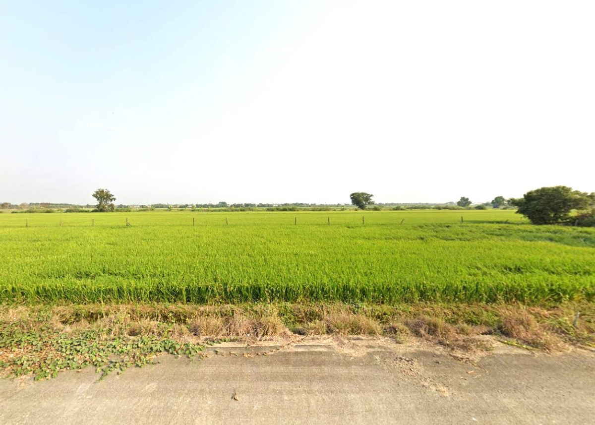 รูป ขายที่ดิน 1-2-30.0 ไร่ ตำบลคลองสี่ อำเภอคลองหลวง จังหวัดปทุมธานี - รูปที่ 1/5