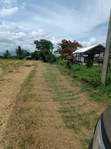 รูป ขายที่ดิน 14 ไร่ 37 ตร.ว. ติดถนน โฉนดครุฑแดง พร้อมโอน ใกล้สถานที่ท่องเที่ยว  อำเภอเวียงป่าเป้า จังหวัดเชียงราย - รูปที่ 3/8