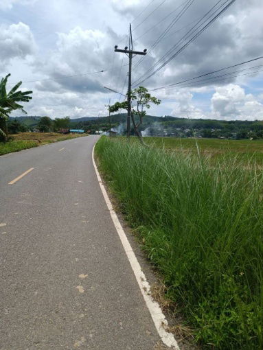 รูป ขายที่ดิน 14 ไร่ 37 ตร.ว. ติดถนน โฉนดครุฑแดง พร้อมโอน ใกล้สถานที่ท่องเที่ยว  อำเภอเวียงป่าเป้า จังหวัดเชียงราย - รูปที่ 7/8