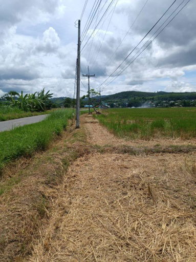 รูป ขายที่ดิน 14 ไร่ 37 ตร.ว. ติดถนน โฉนดครุฑแดง พร้อมโอน ใกล้สถานที่ท่องเที่ยว  อำเภอเวียงป่าเป้า จังหวัดเชียงราย - รูปที่ 4/8