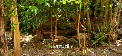 Land for sale Surat Thani : Tranquil Oasis: Riverside 2280 Sqm Plot Divided into Four Parcels in Haad Salad, Koh Phangan - Sale Includes Thai Company for Seamless Acquisition