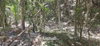 listing thumbnail image 23