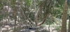 listing thumbnail image 21