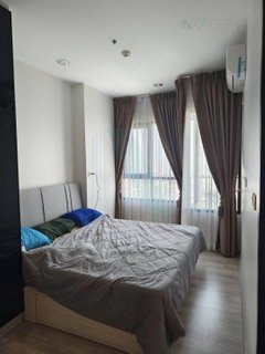 รูปภาพ 📌 For Rent Condo NICHE MONO MEGA SPACE BANGNA Building 1, Floor 38,1 bed room, Room size 31.00 sqm