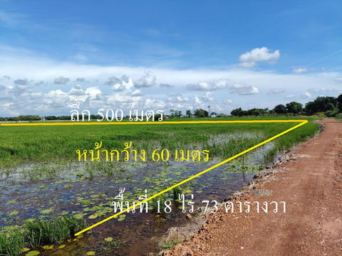 ขายที่ดินขนาด 18 ไร่ ไกล้ โรงงานกระทิงแดง บ้านสร้าง ปราจีนบุรี