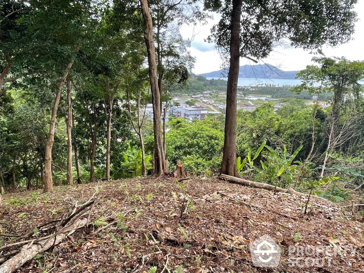 รูป ที่ดินสำหรับปล่อยขาย 16,000 ตารางเมตร แถว ใกล้ Patong (ID 1295665) - รูปที่ 7/12