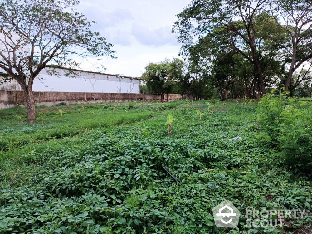 picture 4,588 m² Land for Rent and Sale in San Kamphaeng (ID 1662221) - 1/11
