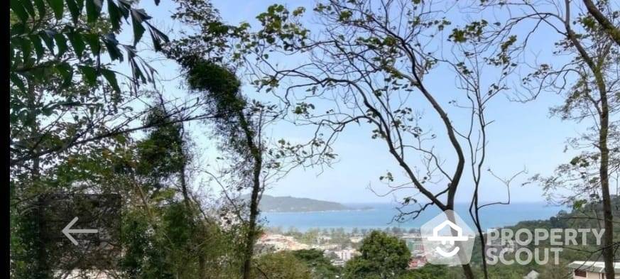 picture 1,084 m² Land for Sale in Pa Tong (ID 1406543) - 1/8
