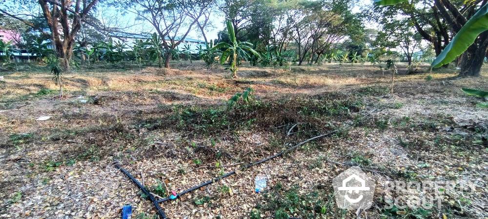 picture 4,588 m² Land for Rent and Sale in San Kamphaeng (ID 1662221) - 11/11
