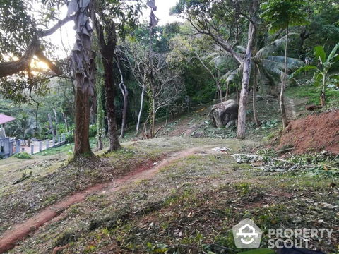 30,448 m² Land for Sale in Pa Tong (ID 2149582)