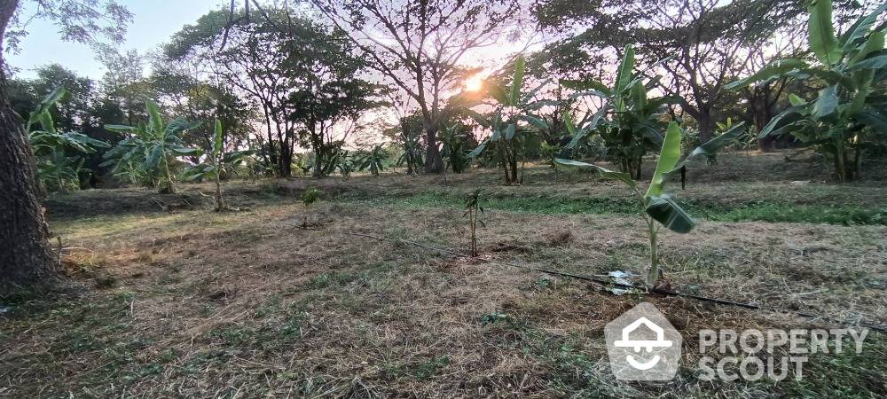 picture 4,588 m² Land for Rent and Sale in San Kamphaeng (ID 1662221) - 8/11