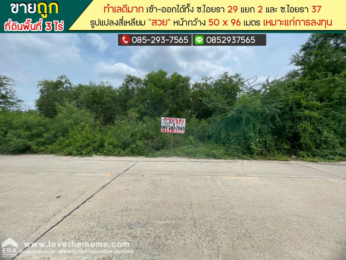 รูป ขายที่ดิน ซอยไอยรา29 แยก2 คลองหลวง คลอง2 พื้นที่ 3 ไร่ ทำเลดี ราคาถูก เหมาะแก่การลงทุน - รูปที่ 1/1