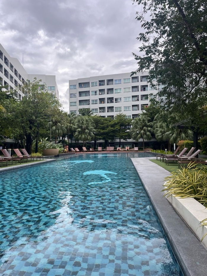 picture Code: KJ7283  for rent Elio Del Ray Sukhumvit 64 // Line ID: @kjcondo (with @) // - 15/19