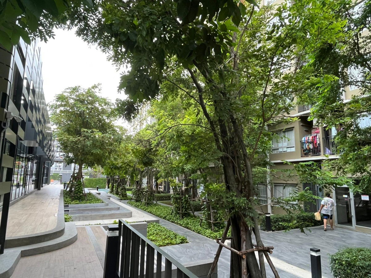 picture Plum Condo Rangsit alive 2 for rent - 17/17