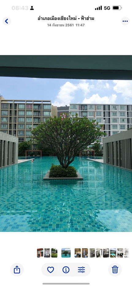 picture For sale, D condo Sign, next to Central Festival Chiang Mai, pool view, sale with tenant, call: 098-9690236 (Janny) - 12/12
