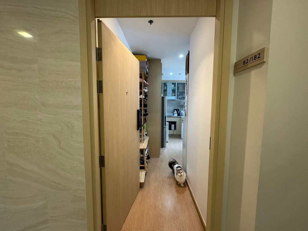 picture SELL Maru Ekkamai Pet Friendly 6 Mins To BTS Ekkamai (P310) - 4/15