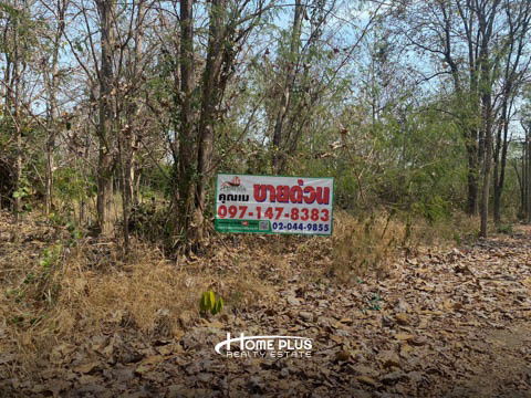 รูป ที่ดินถนนสันป่าตอง–แม่วาง ตำบลบ้านแม อำเภอสันป่าตอง เชียงใหม่ (ขาย 2 แปลงติดกัน) - รูปที่ 23/23
