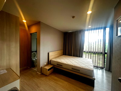 Condos for rent 700 Year Sports Arena Chiang Mai : For rent palm spring areca nimman chiang mai 