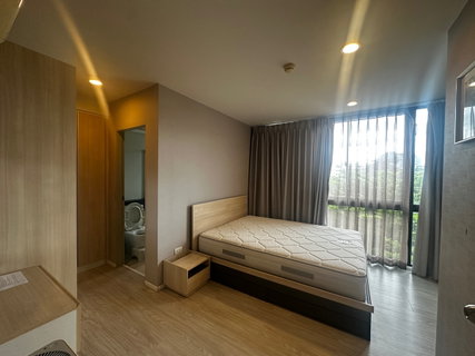 รูปภาพ For rent palm spring areca nimman chiang mai