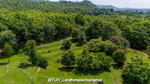 ขายที่ดินสร้างบ้านพักตากอากาศ บ้านสวนยามเกษียณ ขนาดกำลังดี ปลูกบ้านและทำเกษตรได้  1ไร่ 3งาน  66 ตารางวา พิกัด อำเภอจอมทอง จังหวัดเชียงใหม่