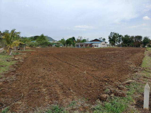 picture Land for sale, located in a community, with neighbors, good atmosphere, Lao Khwan District, Kanchanaburi - 3/6