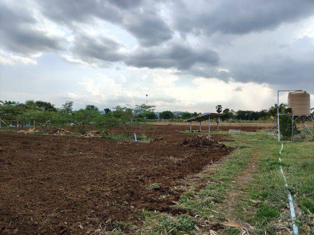picture Land for sale, located in a community, with neighbors, good atmosphere, Lao Khwan District, Kanchanaburi - 6/6