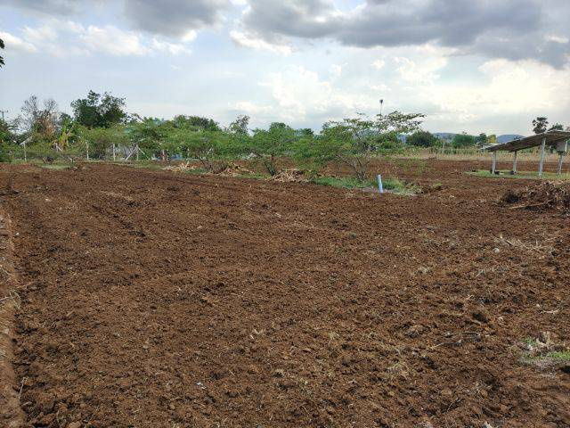 picture Land for sale, located in a community, with neighbors, good atmosphere, Lao Khwan District, Kanchanaburi - 5/6