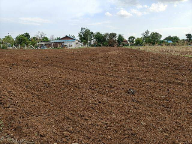 picture Land for sale, located in a community, with neighbors, good atmosphere, Lao Khwan District, Kanchanaburi - 4/6