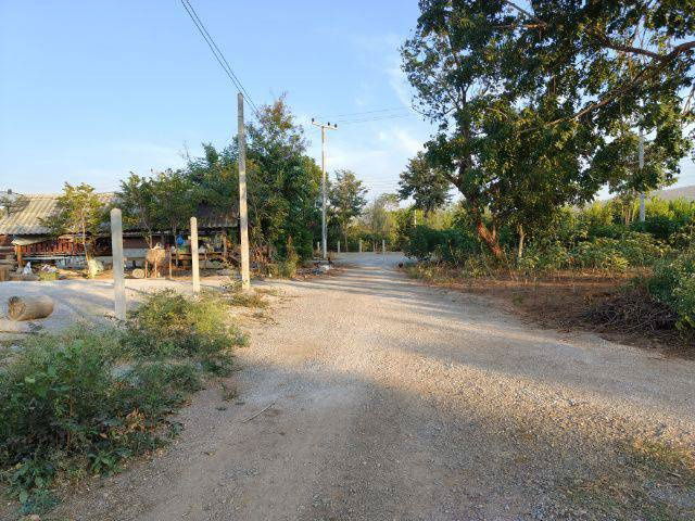 picture Land for sale, located in a community, with neighbors, good atmosphere, Lao Khwan District, Kanchanaburi - 2/6