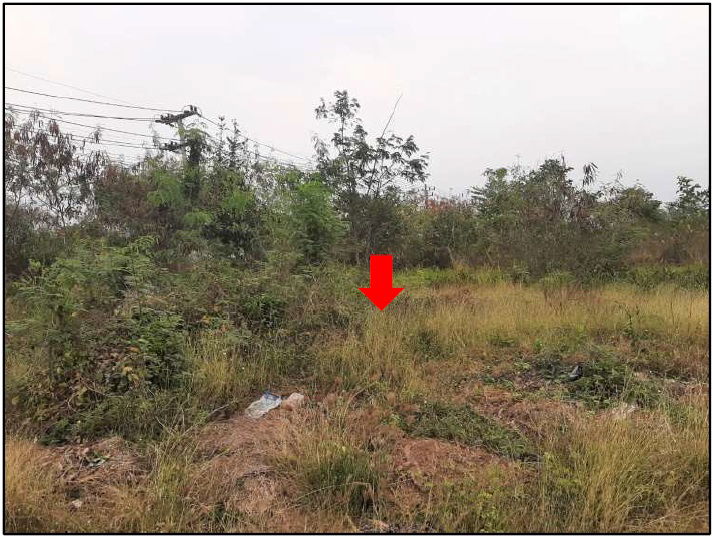picture ที่ดินเปล่า 12111.2 square meter Chaiyaphum Phu Khieo O Lo for 10598000 THB - 14/18