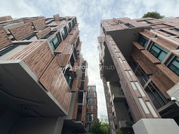 Project Wora Sukhumvit 49 Picture - 5/10