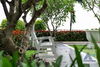 listing thumbnail image 17