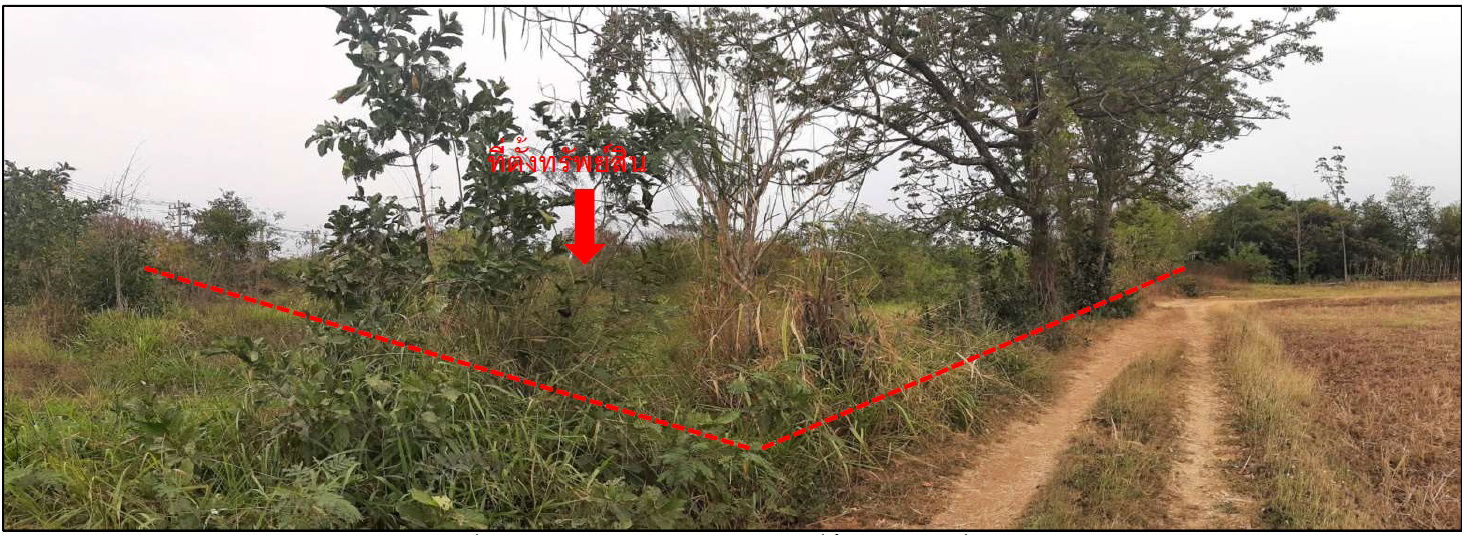 picture ที่ดินเปล่า 12111.2 square meter Chaiyaphum Phu Khieo O Lo for 10598000 THB - 10/18