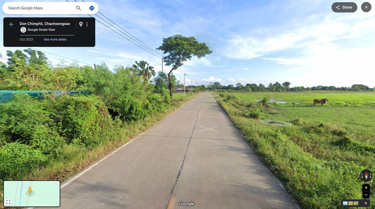 รูป ที่ดินแปลงเล็ก คลอง 16 ราคาถูก ใกล้กรุงเทพฯ เหมาะปลูกบ้านสวน - รูปที่ 7/8