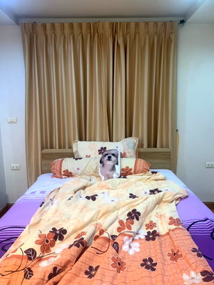 ขายคอนโด : Condo 40 sqm. on 1st floor. (Low-rise condo) Chong Nonsi, Bangkok near MRT Queen Sirikit National Convention Centre