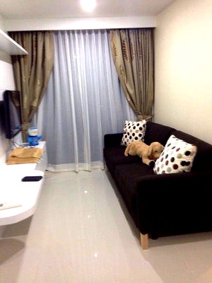 Condos for rent BTS On Nut : ✨ There is a washing machine, THE PRESIDENT Sukhumvit 81 condo, 1 bedroom, 35 sq m, 5th floor, only 14,000 baht 🏡💖