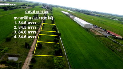 ขายที่ดิน : ที่ดินแปลงเล็ก คลอง 16 ราคาถูก ใกล้กรุงเทพฯ เหมาะปลูกบ้านสวน
