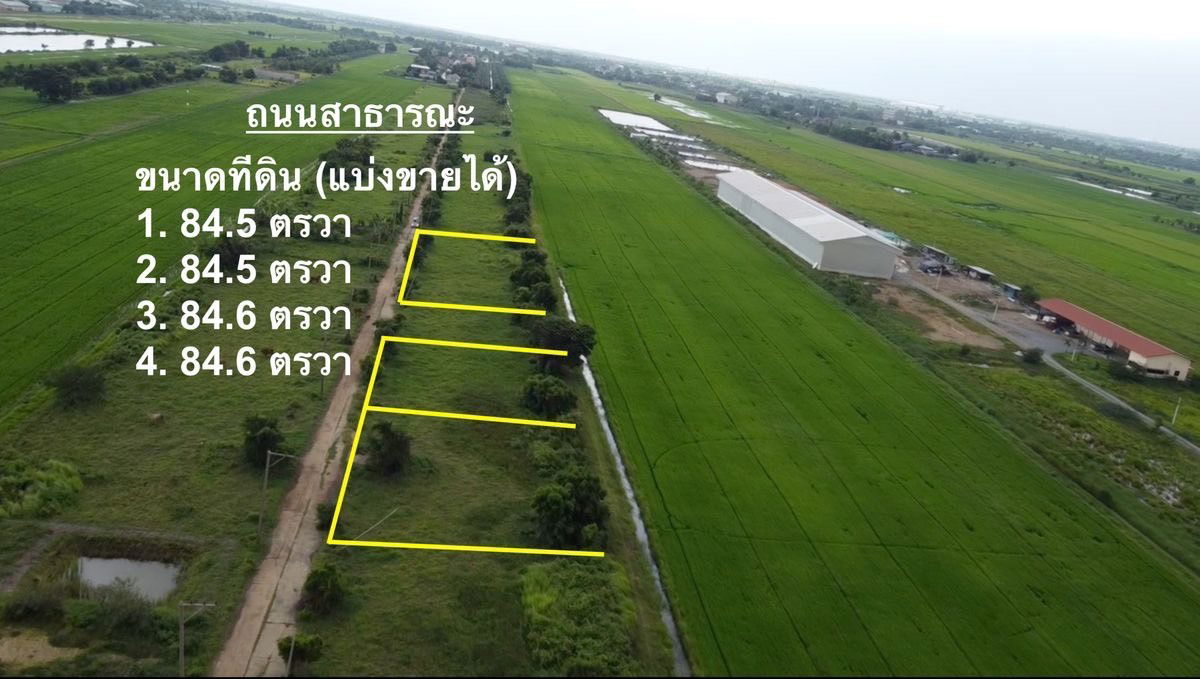 รูป ที่ดินแปลงเล็ก คลอง 16 ราคาถูก ใกล้กรุงเทพฯ เหมาะปลูกบ้านสวน - รูปที่ 1/8