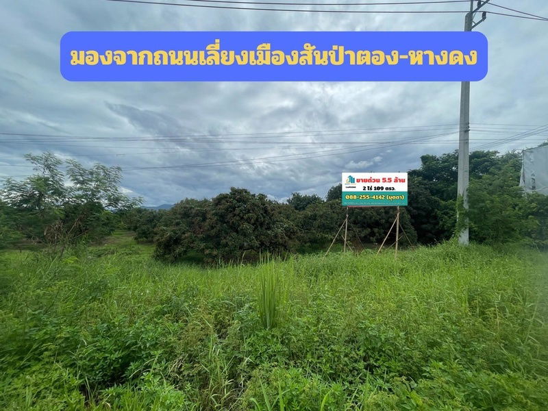 รูป ขายที่ดิน 2 ไร่ 109 ตรว. ริมถนนเลี่ยงเมืองสันป่าตอง-หางดง - รูปที่ 2/10