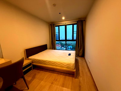 Condos for rent Soi Udomsuk (Sukhumvit 103) : For Rent   :  IDEO O2   (ST-02)