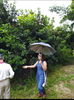 listing thumbnail image 11