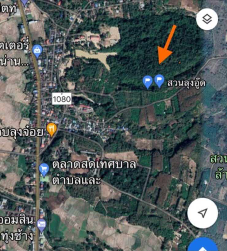 รูป ขายสวนเงาะอยู่หลังเซเว่นตลาดสดทุ่งช้าง น่าน - รูปที่ 13/23