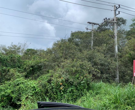 Cheap sale, land, Ban Maklue, Nakhon Sawan, land next to the road, area 357 sq.w starting at 2.5 million baht